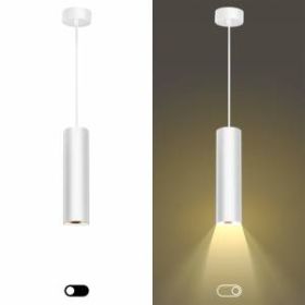 PL1 GU10 WH 300 Подсветка ЭРА подвесной, GU10, D80*300мм, белый (20/240) ‎