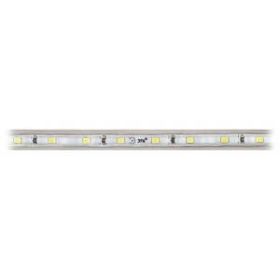 ЭРА Лента светодиодная LS2835-4,8-60-220-6500К-IP67-20m (4/96) ‎
