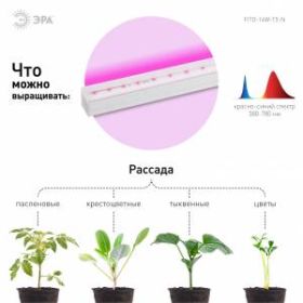 Светильник для растений, фитолампа светодиодная линейная ЭРА FITO-14W-Т5-N красно-синего спектра 14 Вт Т5 ‎