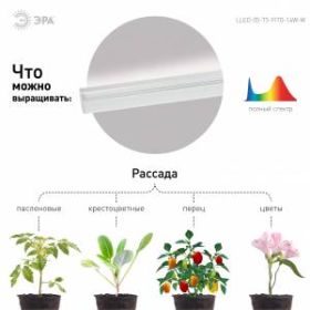 Светильник для растений, фитолампа светодиодная линейная ЭРА LLED-05-T5-FITO-14W-W полного спектра 14 Вт ‎