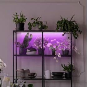 Светильник для растений, фитолампа светодиодная линейная ЭРА LLED-05-T5-FITO-18W-W полного спектра 18 Вт ‎