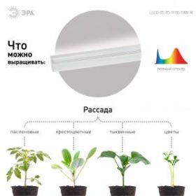 Светильник для растений, фитолампа светодиодная линейная ЭРА LLED-05-T5-FITO-18W-W полного спектра 18 Вт ‎