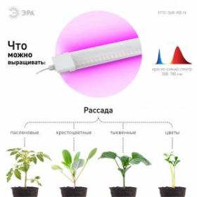 Светильник для растений, фитолампа светодиодная линейная ЭРА FITO-36W-RB-N красно-синего спектра 36 Вт ‎