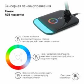 ЭРА наст.светильник NLED-460-14W-BK-S черный с серебром (8/168) ‎