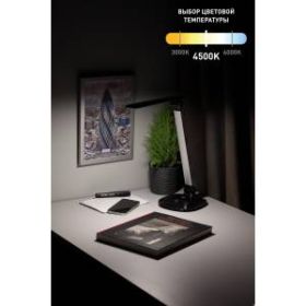 ЭРА наст.светильник NLED-456-10W-BK-S черный с серебром (12/144) ‎