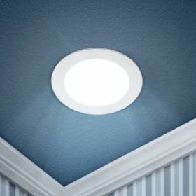 LED 1-12-6K Светильник ЭРА светодиодный круглый LED 12W 220V 6500K (30/630) ‎