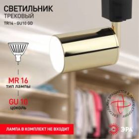 Трековый светильник однофазный ЭРА TR14-GU10 GD MR16 золото ‎
