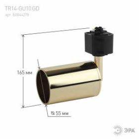 Трековый светильник однофазный ЭРА TR14-GU10 GD MR16 золото ‎