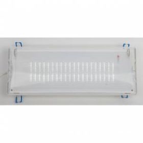 Аварийный светильник светодиодный ЭРА DPA-301-1-65 постоянный 40LED 3ч IP65 NiCD ‎