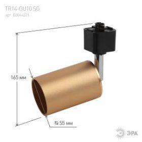 Трековый светильник однофазный ЭРА TR14-GU10 SG MR16 сатин золото ‎