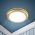 WR1 GD Светильник ЭРА влагозащищенный MR16,12V220V, 50W золото (100/2000) ‎