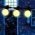 ERABL-WS5 ЭРА Гирлянда ЭРА Белт Лайт набор 5 м,15 LED (шаг 30 см), тепл.свет, 220 В,кауч. изол.,IP65 ‎