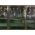 ENIB-01B ЭРА Гирлянда LED Бахрома 1,8 м*0,5 теплый свет 8 режимов 220V, IP20 (100/800) ‎