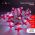 ENIN-3P ЭРА Гирлянда LED Нить Подарки 3 м холодный свет, 220V, IP20 (24/192) ‎