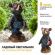 SL-RSN27-BEAR1 ЭРА Садовый светильник на солнечной батарее, полистоун, цветной, 27 см (12/96) ‎