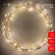 ENIN -10NW ЭРА Гирлянда LED Нить 10 м теплый свет 220V (100/1800) ‎