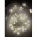 ENIN -10NW ЭРА Гирлянда LED Нить 10 м теплый свет 220V (100/1800) ‎